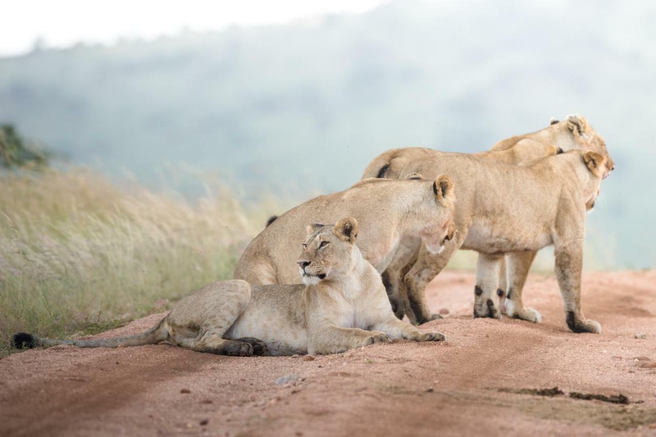 Taasa Lodge Serengeti Zewnętrze zdjęcie