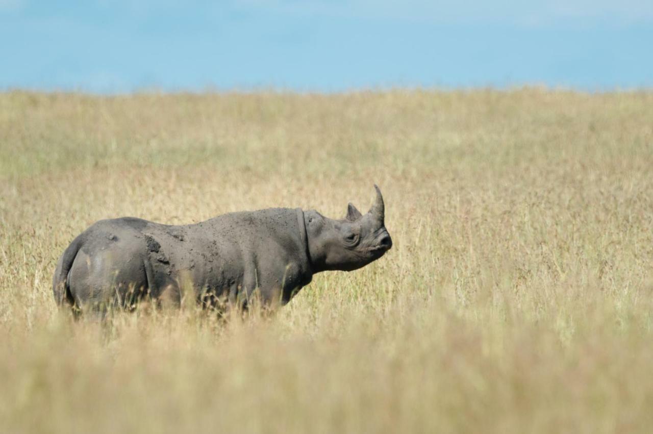 Taasa Lodge Serengeti Zewnętrze zdjęcie
